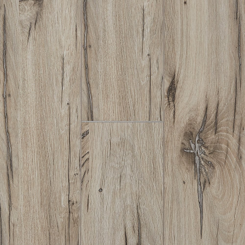 Ламинат Kastamonu Sunfloor Дуб Северная Звезда 63